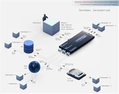 Internal Integration